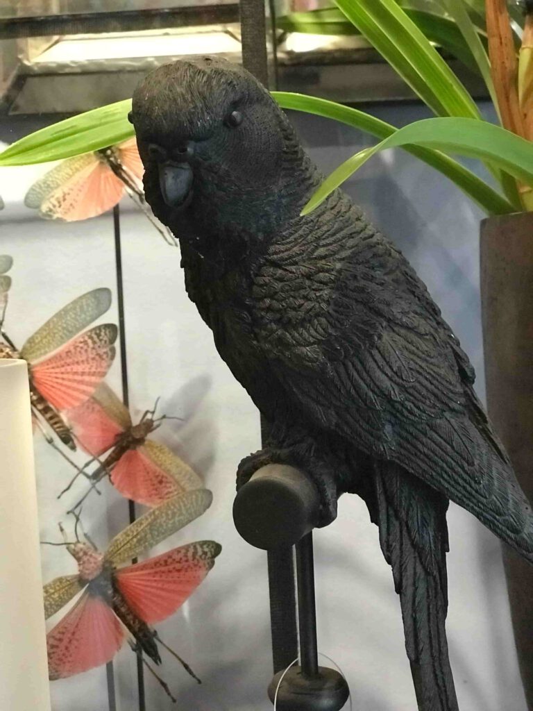lorre - kunsstof papegaai